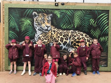 Year 3 Trip to the Paradise Wildlife Park