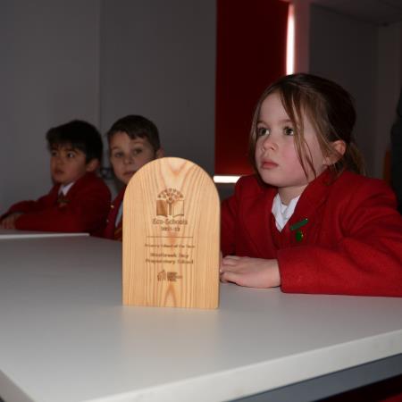 Eco School Award