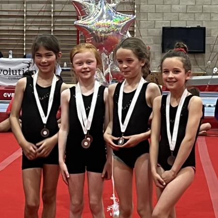 Gymnastics Festival